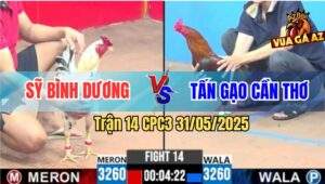 Trận 14 CPC3 31/5/2025 - Anh Sỹ Bình Dương Đụng Anh Tấn Gạo Cần Thơ