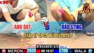 Trận 17 CPC2 16/5/2025 – Anh Đạt Sài Gòn Vs Anh Bảo Sting