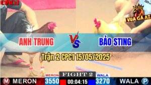 Trận 2 CPC1 15/5/2025 – Anh Trung CPC Vs Anh Bảo Sting