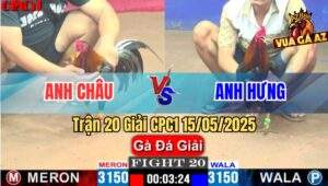 Trận 20 Giải CPC1 15/5/2025 – Anh Châu Bến Tre Vs Anh Hưng Gò Đen