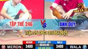 Trận 25 CPC3 31/5/2025 - Vòng 2, Tập Thể 346 Gặp Anh Duy