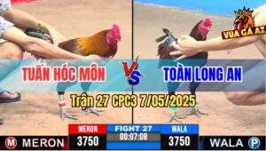 Trận 27 CPC3 7/5/2025 - Gà Điều Anh Tuấn Hóc Môn Phản Ăn 1 Lụm Gần Tỷ