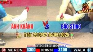 Trận 29 CPC2 16/5/2025 – Anh Khanh Sài Gòn Vs Anh Bảo Sting