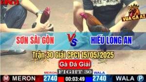 Trận 30 Giải CPC1 15/5/2025 – Anh Sơn Sài Gòn Vs Anh Hiếu Long An