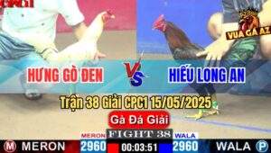 Trận 38 Giải CPC1 15/5/2025 – Anh Hưng Gò Đen Vs Anh Hiếu Long An
