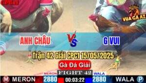 Trận 42 Giải CPC1 15/5/2025 – Anh Châu Bến Tre Vs G Vui
