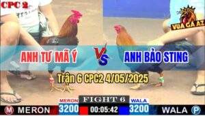 Trận 6 CPC2 4/5/2025 - Tư Mã Ý Chấm Dứt Chuỗi Bất Bại Của Bảo Sting
