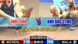 Trận 6 CPC2 9/5/2025 - Bướm Camelo Anh Bảo Sting Đá Chân Nào Cũng Đâm