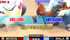 Trận 7 CPC2 30/5/2025 - Điều Có Chân Cúp Điện Đá Bướm Anh Long Mất 5G