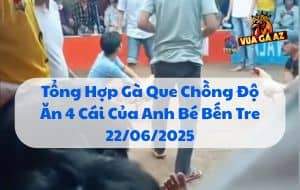 Tổng Hợp Gà Que Chồng Độ Ăn 4 Cái Của Anh Bé Bến Tre 22/06/2025