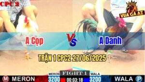 Trận 1 CPC2 27/06/2025 - Gà Bướm Đâm Đối Thủ Lật Xe Ngay Tay Nước Đầu