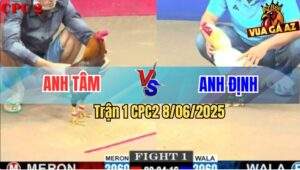 Trận 1 CPC2 8/6/2025 - Bướm Anh Định Đâm Lút Cán, Lụm Kem Gọn Gàng