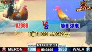 Trận 11 CPC1 7/6/2025 - Gà Điều Anh Sang Đá Chân 1 Hạ Gà Điều AZ888