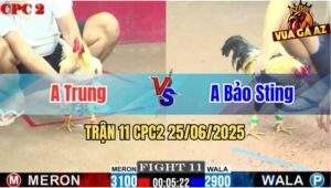 Trận 11 CPC2 25/06/2025 - Anh Trung Hạ Gọn Anh Bảo Sting