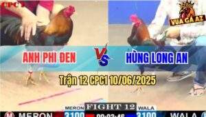 Trận 12 CPC1 10/6/2025 - Anh Phi Đen Và Anh Hùng Long An