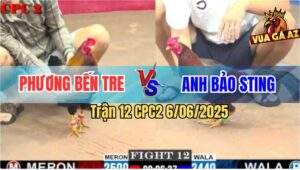 Trận 12 CPC2 6/6/2025 - Anh Phương Bến Tre Hạ IDol Bảo Sting