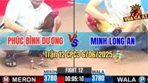 Trận 12 CPC3 6/6/2025 - Chú Phúc Bình Dương Và Anh Minh Long An