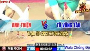 Trận 13 CPC1 7/6/2025 - Gà Bướm Anh Tú Lên 2 Đá Đối Thủ Bay Bồ