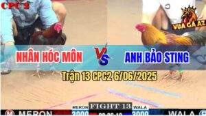 Trận 13 CPC2 6/6/2025 - Anh Nhân Hóc Môn Và Anh Bảo Sting