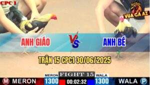 Trận 15 CPC1 30/06/2025 - Gà Anh Giáo Lỗi Nài Cơ Bản Thua Đáng Tiếc