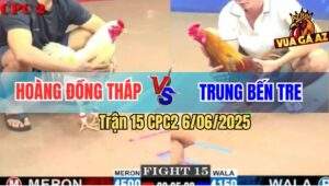 Trận 15 CPC2 6/6/2025 - Gà Khét ĐKVĐ Anh Trung Bến Tre Đâm Cựa Tàn Bạo