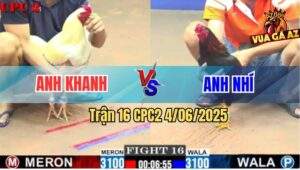 Trận 16 CPC2 4/6/2025 - Điều Xanh Anh Nhí Có Chân Cứu Chủ Quá Hay
