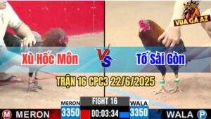 Trận 16 CPC3 22/06/2025 - Anh Xù Hóc Môn Vs Anh Tố Sài Gòn