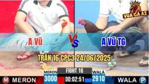 Trận 16 CPC3 24/06/2025 - Gà Anh Vũ Tiền Giang Phản Kèo Phút Cuối
