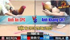 Trận 16 CPC3 29/06/2025 - Gà Anh An Campuchia Đá Gãy Giò Đối Thủ