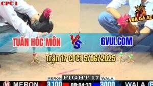 Trận 17 CPC1 5/6/2025 - Gà Vàng GVUI.COM Có Chân Mai Độ Cứu Chủ