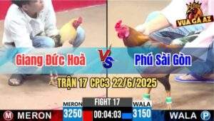 Trận 17 CPC3 22/06/2025 - Anh Giang Đức Hoà Vs Anh Phú Sài Gòn