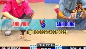 Trận 18 CPC2 6/6/2025 - Gà Khét Anh Hùng Đâm Đối Thủ Hở Bang Tai