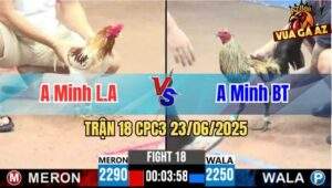 Trận 18 CPC3 23/06/2025 - Gà Camelo Cậu Đông Đá Chưa Tới 3 Chân