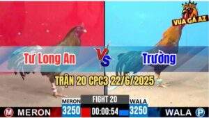 Trận 20 CPC3 22/06/2025 - Anh Tư Long An Bất Bại, Trận Thứ 3 Liên Tiếp