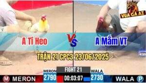 Trận 21 CPC3 23/06/2025 - Anh Tí Heo Và Anh Mắm Vũng Tàu