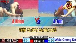 Trận 22 CPC1 26/06/2025 - Gà Anh Ton Chồng Độ Còn Dí Bạc Thêm Ăn 6
