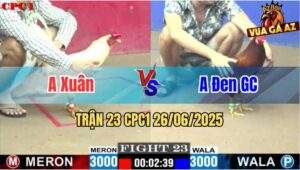 Trận 23 CPC1 26/06/2025 - Anh Xuân Vs Anh Đen Gò Công