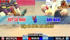 Trận 24 CPC2 8/6/2025 - Điều Cọp Anh Quý Đâm Úa Anh Nam Ói Đen Đầu