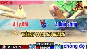Trận 27 CPC2 25/06/2025 - Gà Bảo Sting Chồng Độ Ăn Quá Hay