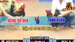 Trận 28 CPC1 5/6/2025 - Anh Hưng Gò Đen Và Anh Xuân Bất Phân Thắng Bại