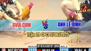 Trận 29 CPC1 5/6/2025 - Khét Thái Mỹ GVUI.COM Đá Chân Nào Cũng Đâm