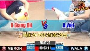 Trận 29 CPC3 24/06/2025 - Anh Giang Đức Hoà Vs Anh Việt