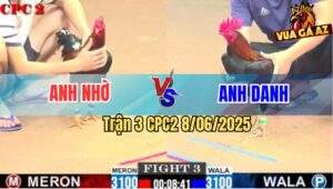 Trận 3 CPC2 8/6/2025 - Que Chóp Đâm Cựa Quá Tịch Hạ Đẹp Gà Anh Danh