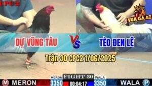 Trận 30 CPC2 1/6/2025 - Gà Anh Dự Đâm Bướm Anh Tèo Đen Đứng Không Nổi