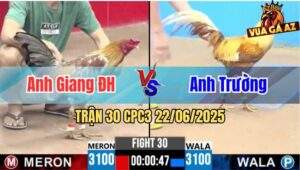 Trận 30 CPC3 22/06/2025 - Giang Đức Hoà Thắng Trận Thứ 6 Liên Tiếp