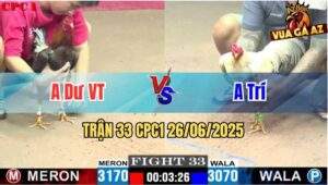Trận 33 CPC1 26/06/2025 - Gà Anh Trí Có Chân Cựa Chí Mạng