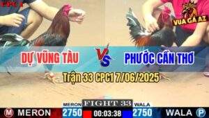 Trận 33 CPC1 7/6/2025 - Anh Dự Vũng Tàu Và Anh Phước Cần Thơ