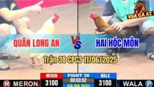 Trận 38 CPC3 11/6/2025 - Tranh Nhì 2, Quân Long An Và Hai Hóc Môn
