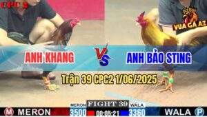 Trận 39 CPC2 1/6/2025 - Gà Khét Anh Bảo Sting Chưa Kịp Dỡ Giò Đã Chết