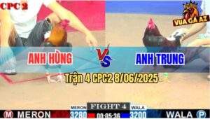 Trận 4 CPC2 8/6/2025 - Điều Cọp Anh Hùng Đá Bát 1 Đối Thủ Gãy Giò
